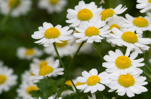 729365 (a): :2560x1680
